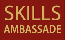 Aanbieders skillspaspoorten online